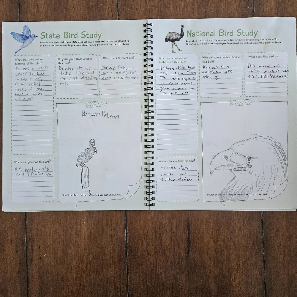 Birds Unit Study The Good And The Beautiful - Picture 3 of 4